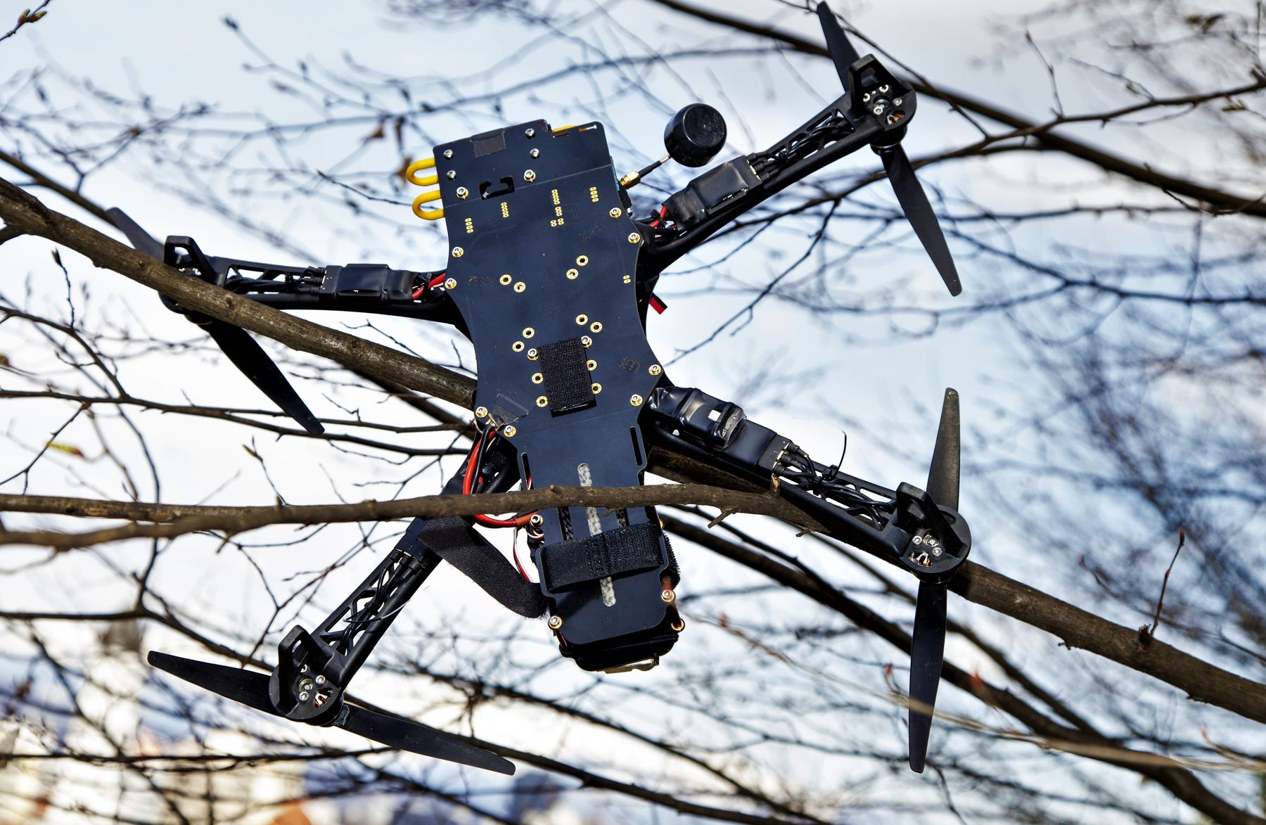 Drone Stuck in Tall Tree