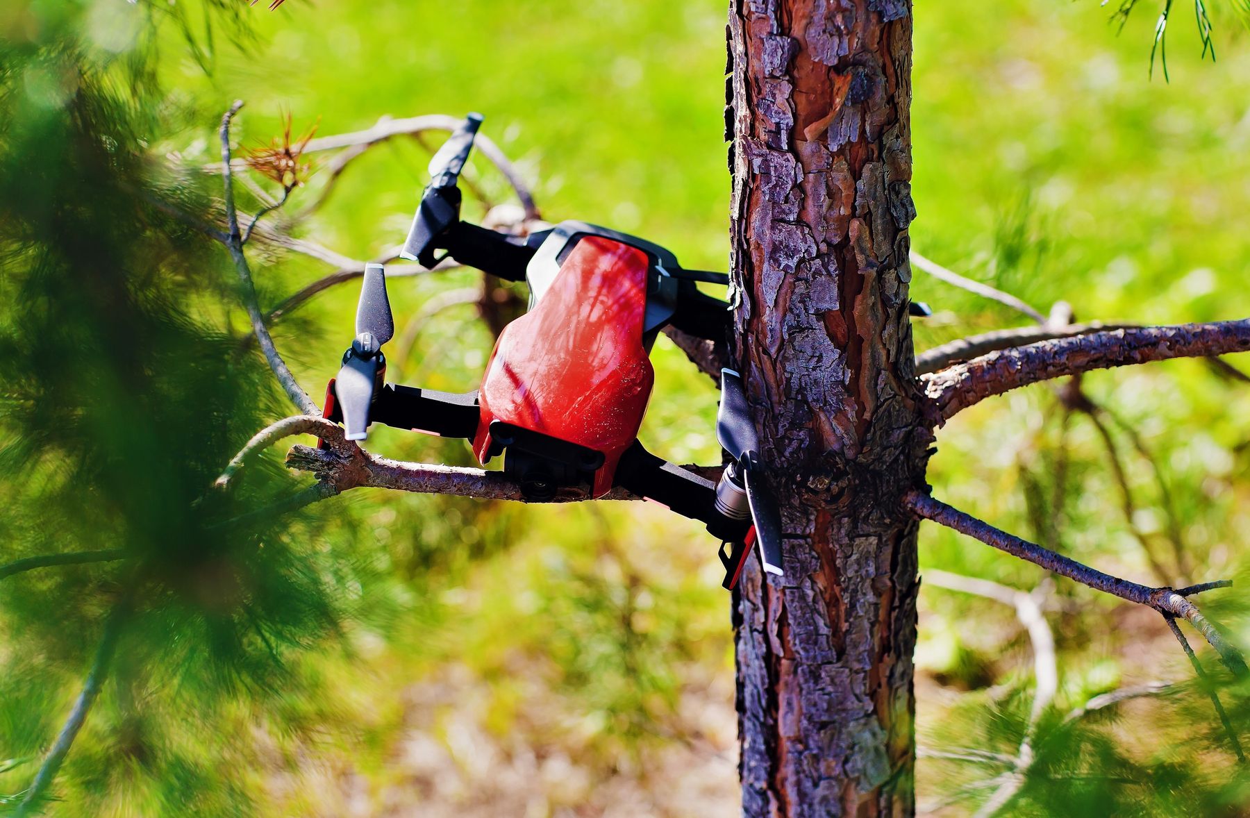 Drone Stuck in Tree