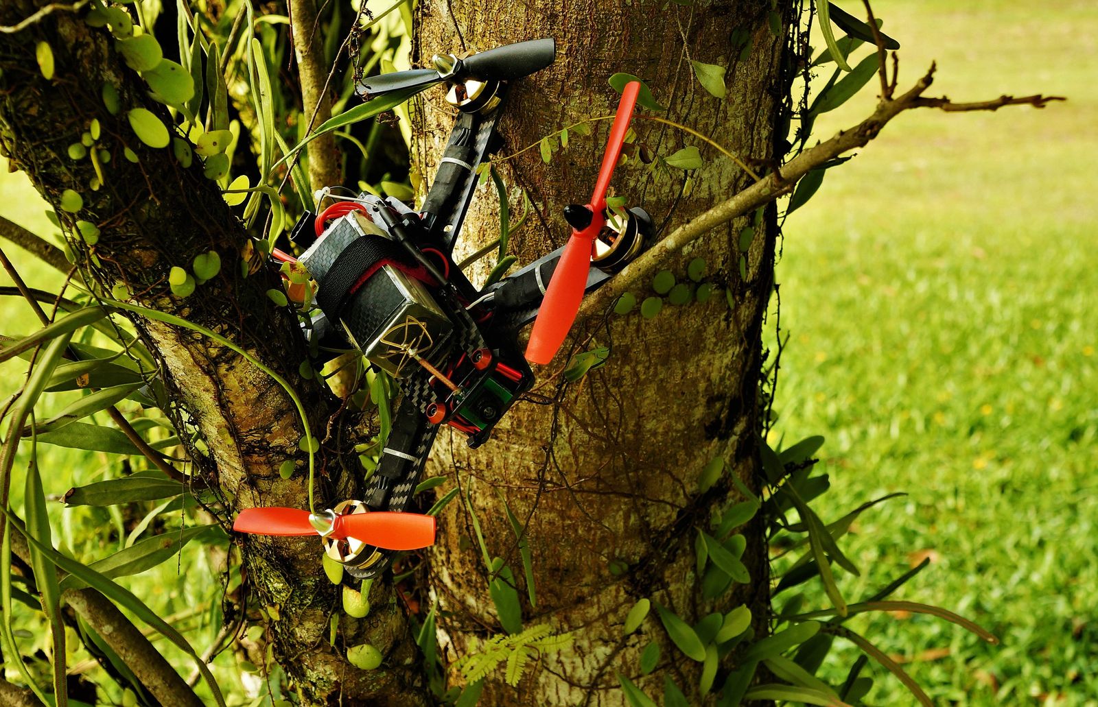 How to Get a Drone Out of a Tree (Do's & Don'ts Discussed)
